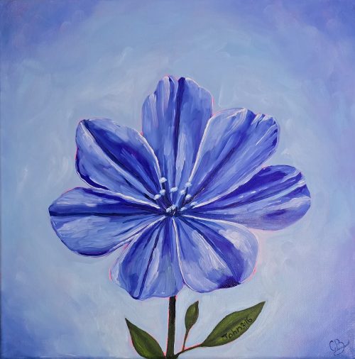 Heavenly Blue Flower