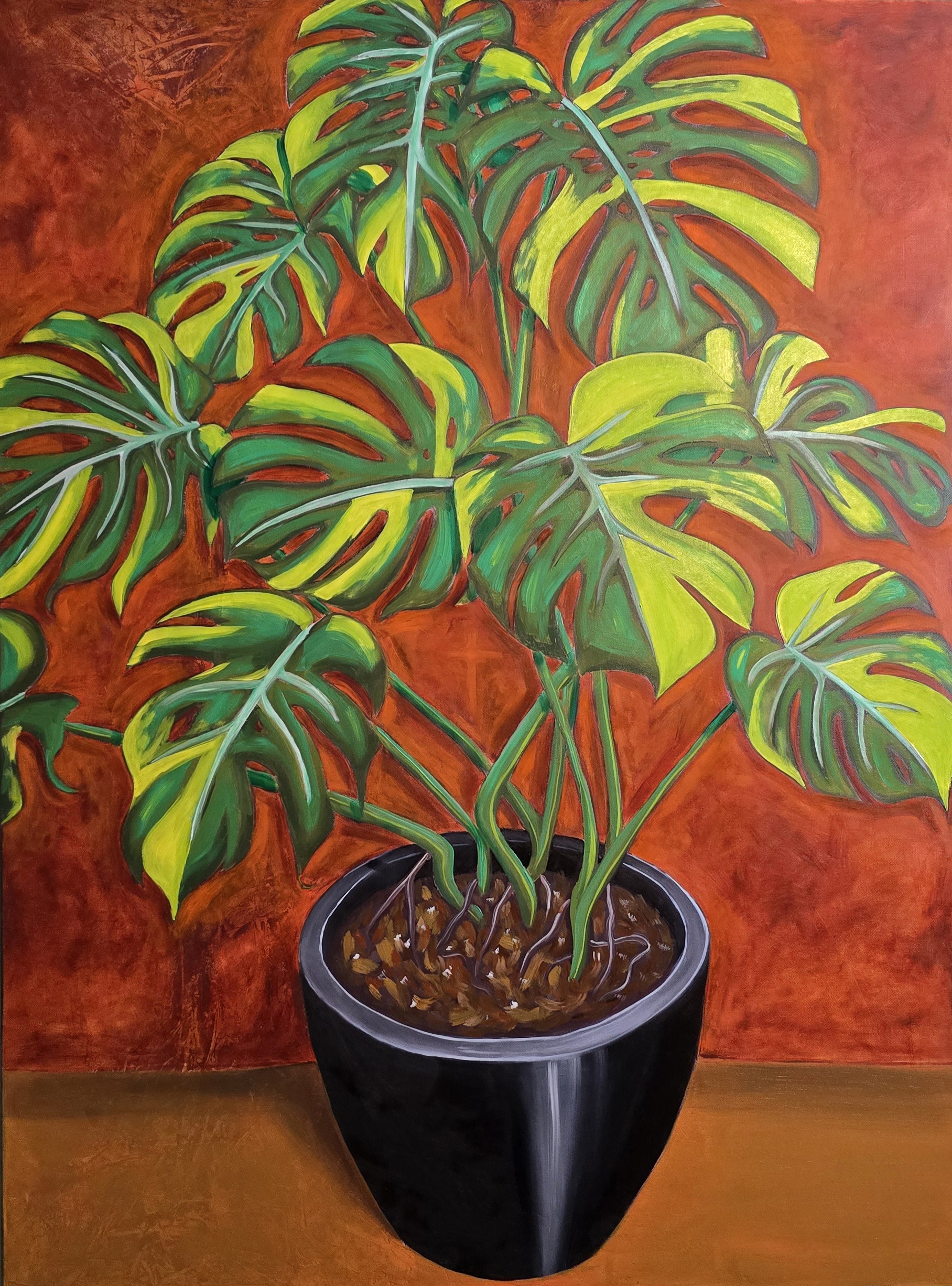 Monstera Aurea