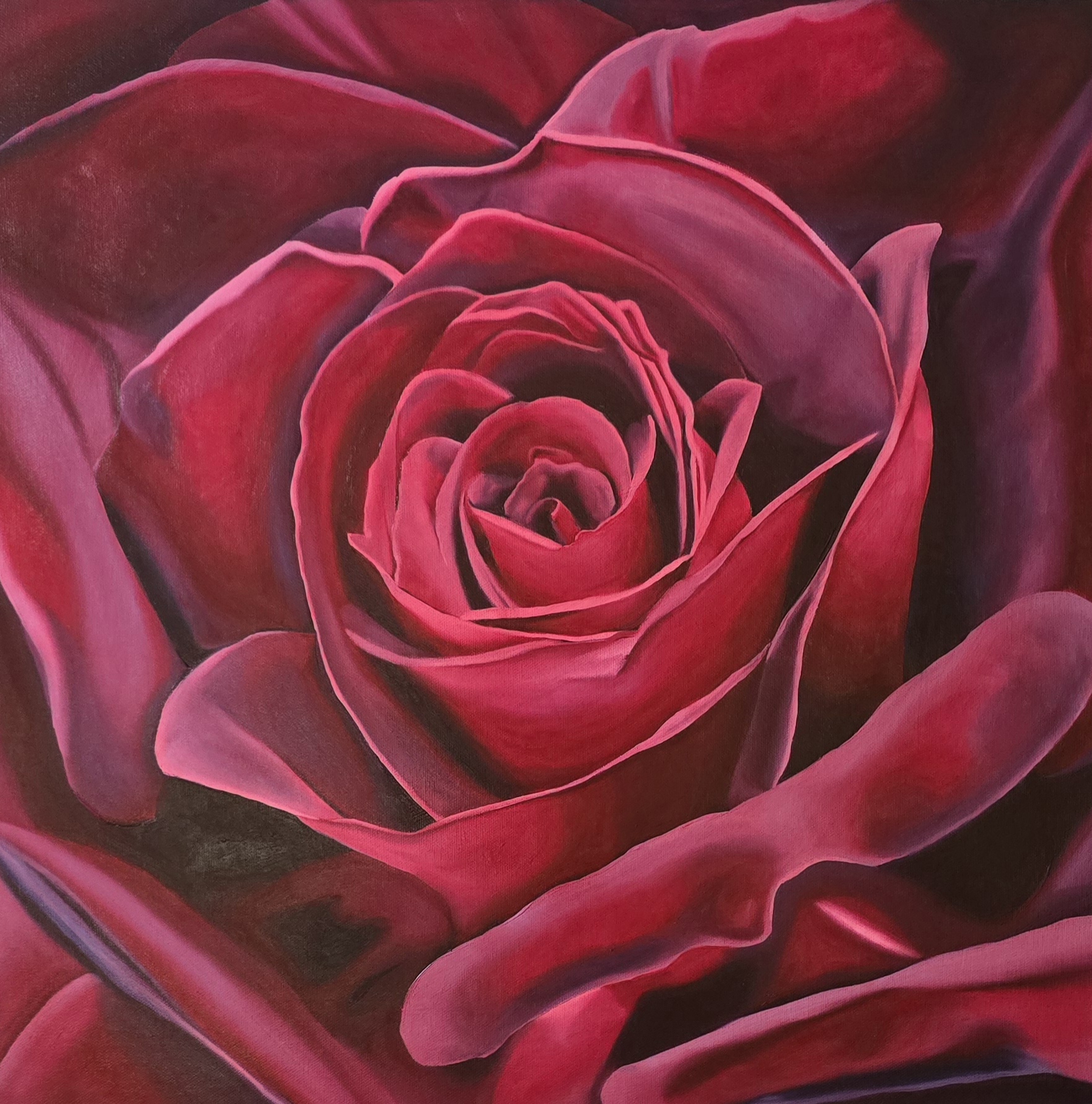 Velvet Rose