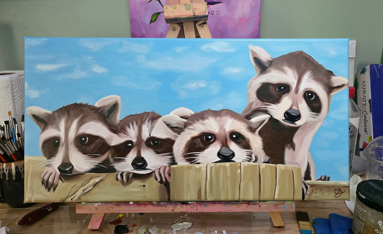 Baby Raccoon Family